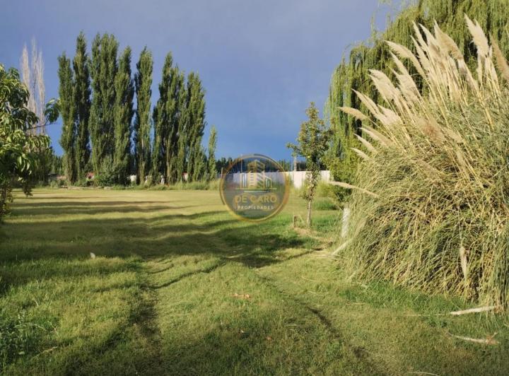 Campo · 55000m²