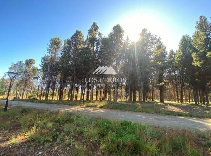 Terreno · 1116m²
