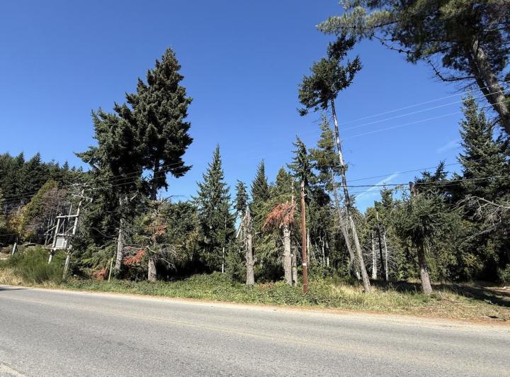 Terreno · 1753m²