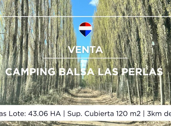 Campo · 120ha