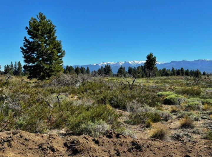 Terreno · 360m²