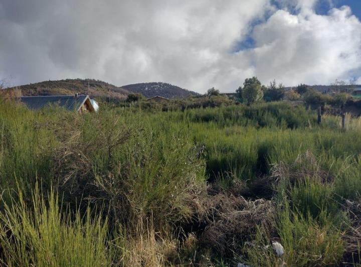Terreno · 1120m²