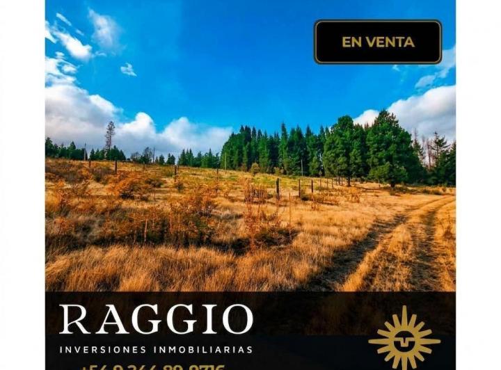 Terreno · 3800m²