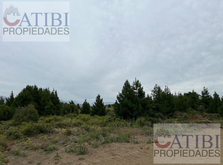 Terreno · 2663m²