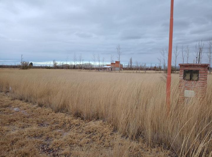 Terreno · 1500m²