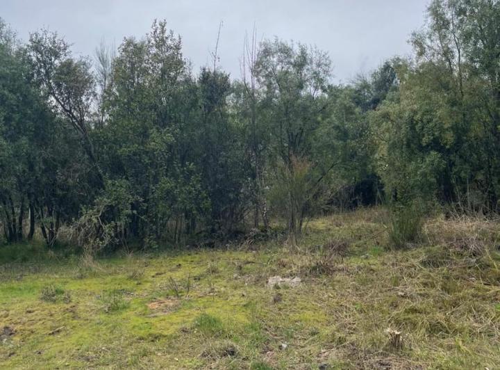 Terreno · 488m²