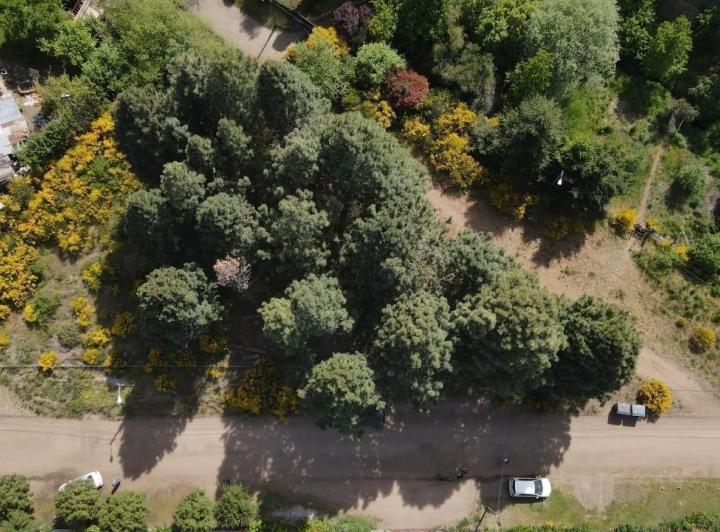 Terreno · 1109m²