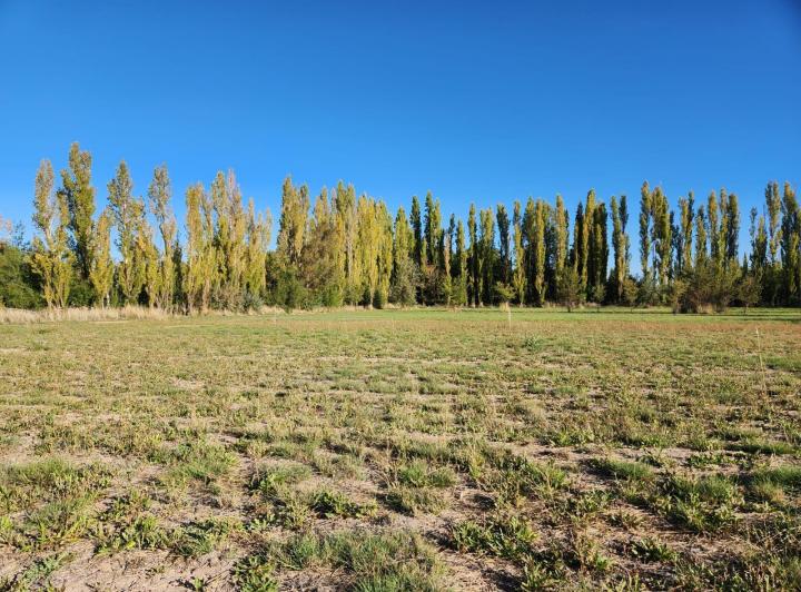 Terreno · 360m²