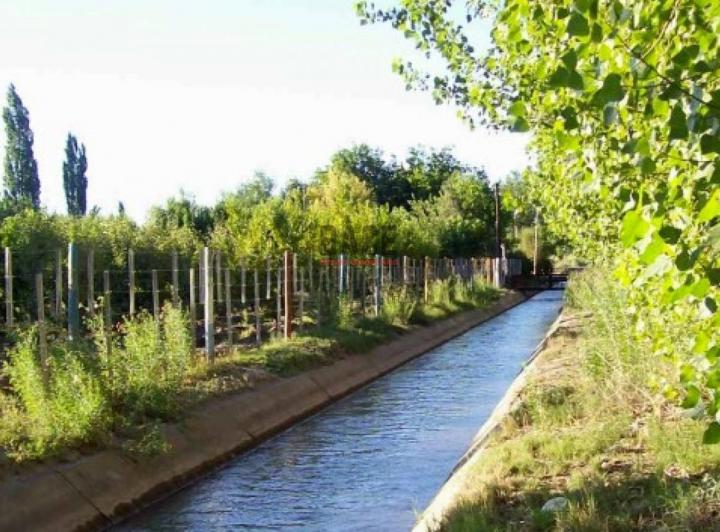 Campo · 62201m²