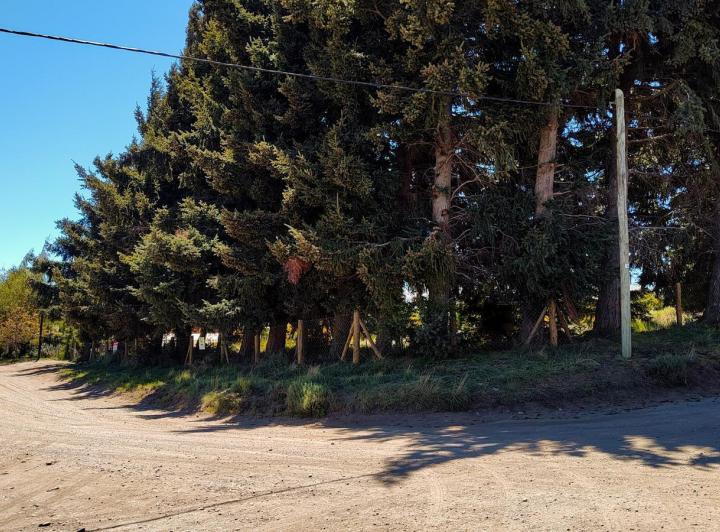 Terreno · 278m²