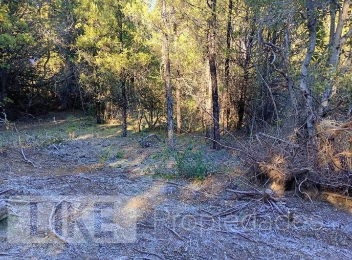 Terreno · 2000m² · 1 Ambiente