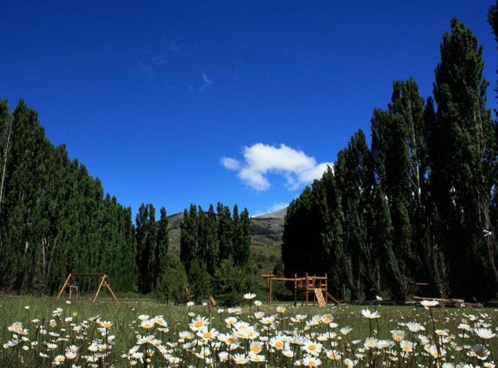 Terreno · 1224m²