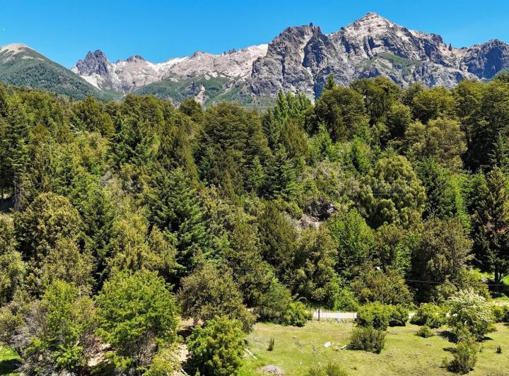 Terreno · 37364m²