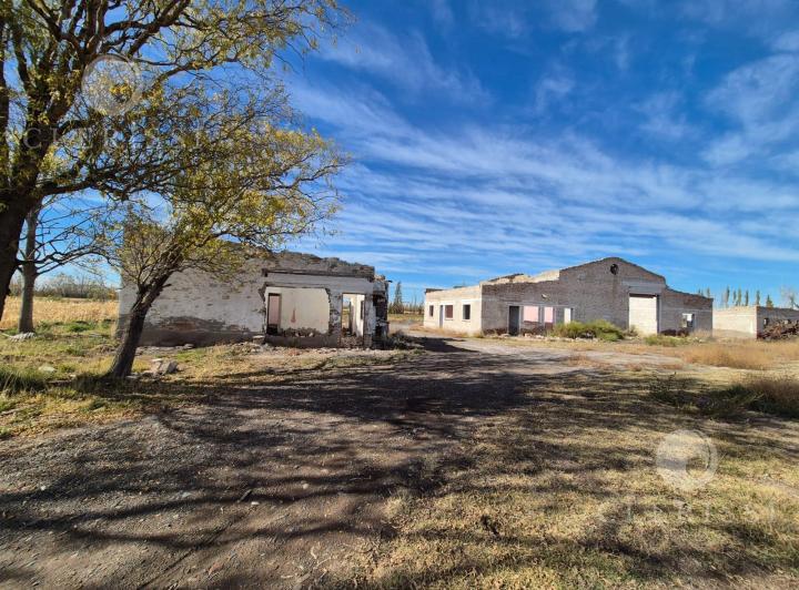 Campo · 250000m²