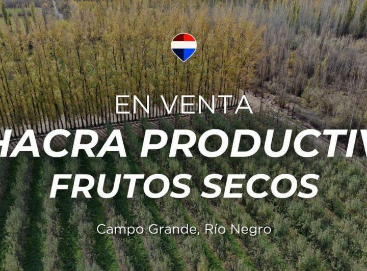 Campo · 29ha