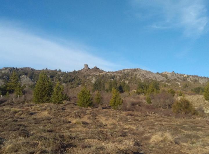 Campo · 30000m² · 1 Ambiente