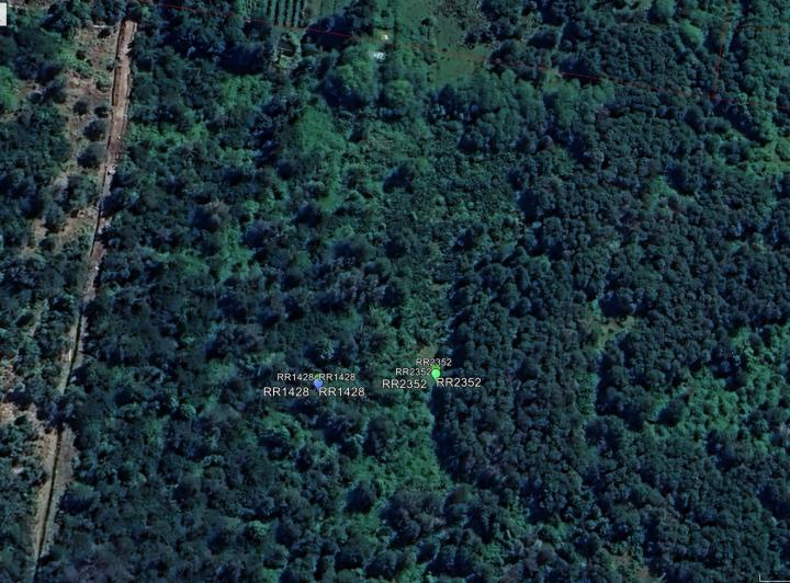 Terreno · 40000m²