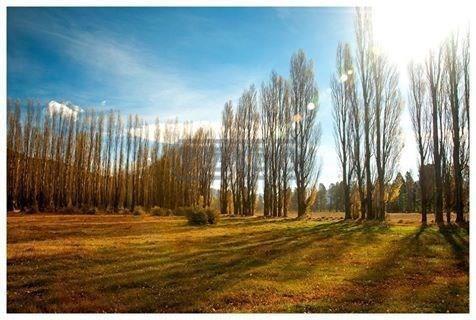 Terreno · 1067m²