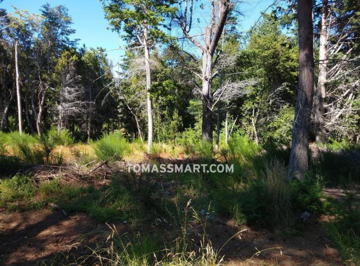 Terreno · 939m²