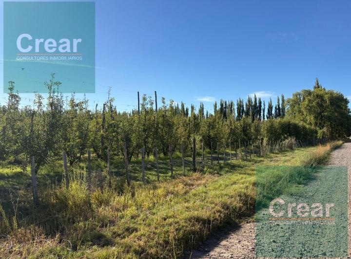 Campo · 58000m²