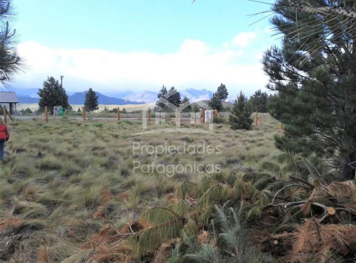Terreno · 1186m²