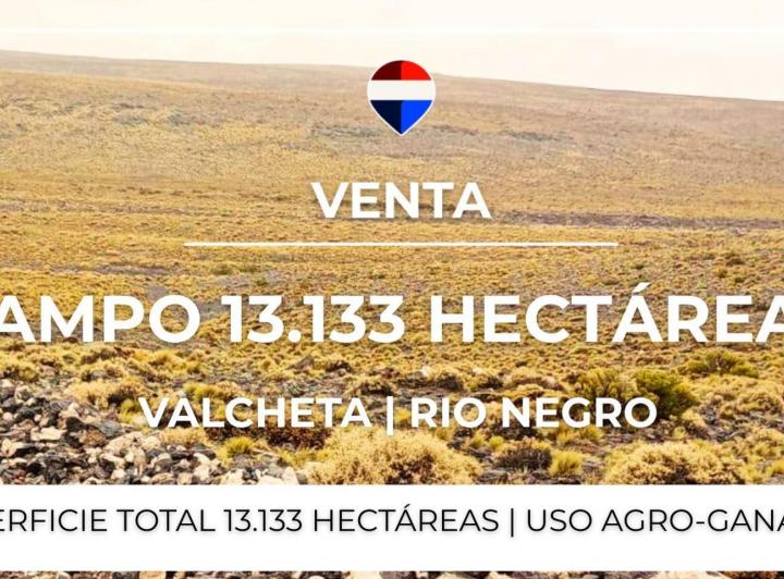 Campo · 13133ha