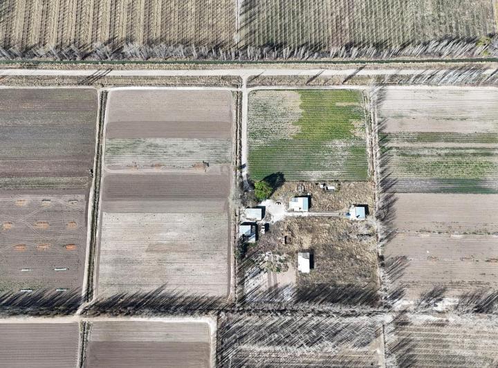 Campo · 100000ha