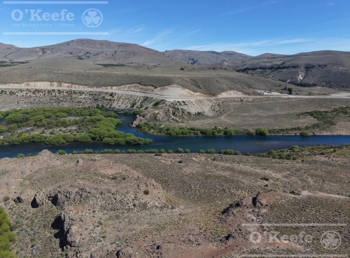 Campo · 80000ha