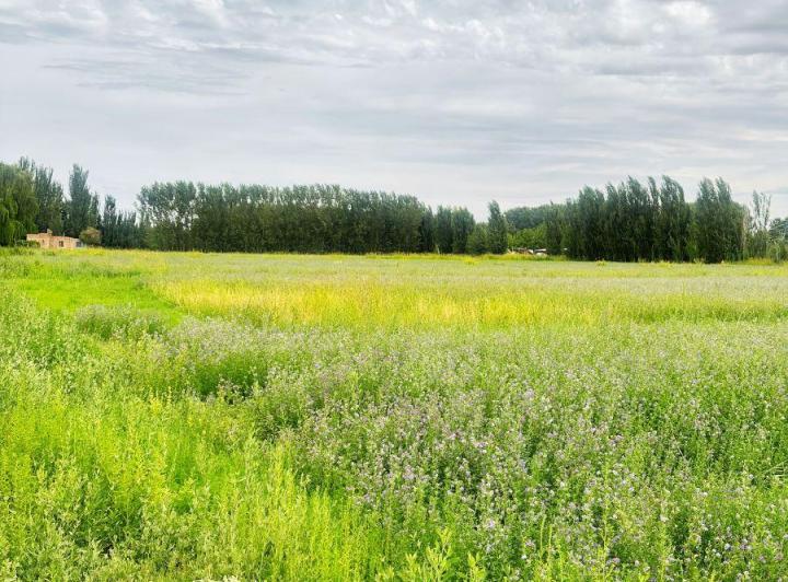 Terreno · 35900m²