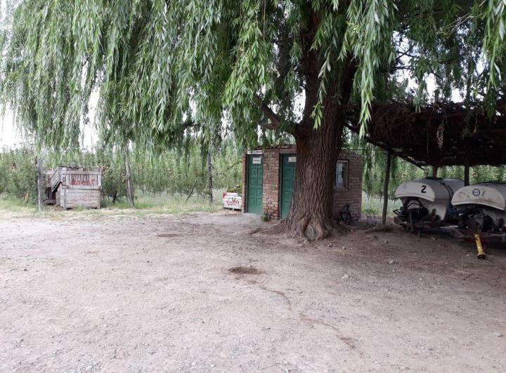 Campo · 134000ha