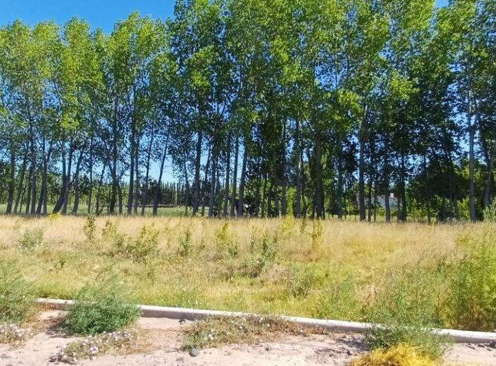 Terreno · 360m²