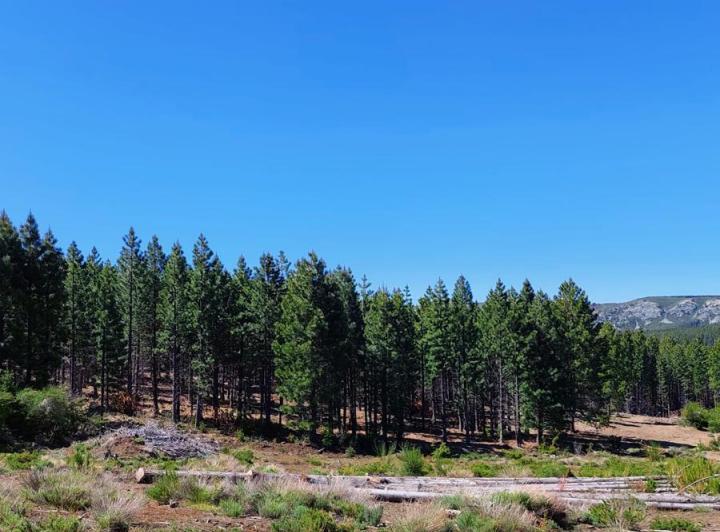 Campo · 100m² · 2 Ambientes