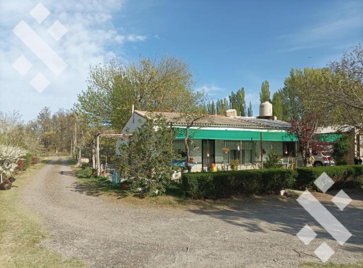 Campo · 200m² · 4 Ambientes