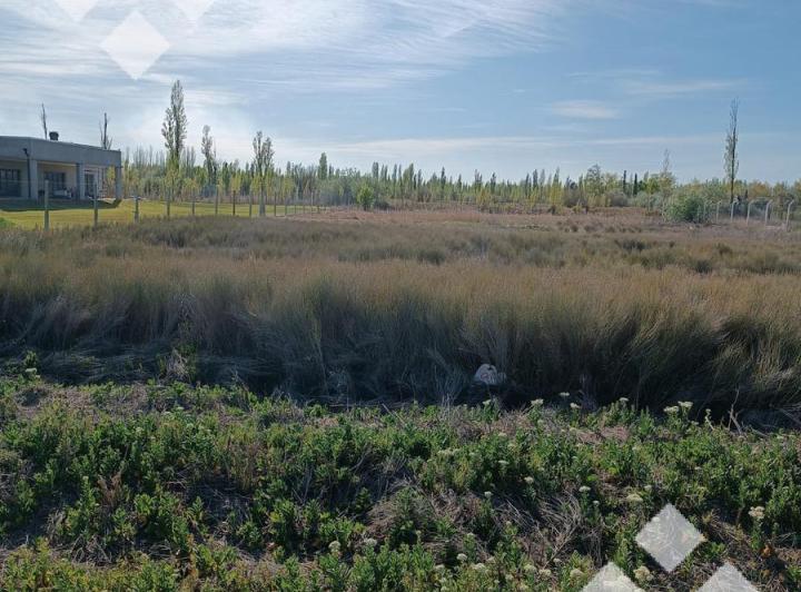 Terreno · 3232m²