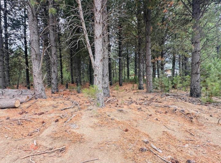 Terreno · 1000m²