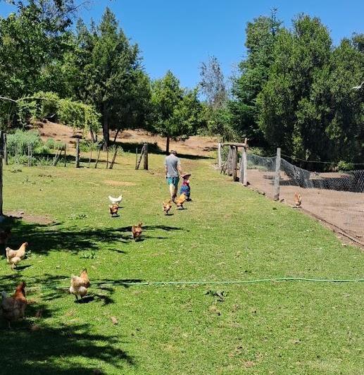 Campo · 114500ha