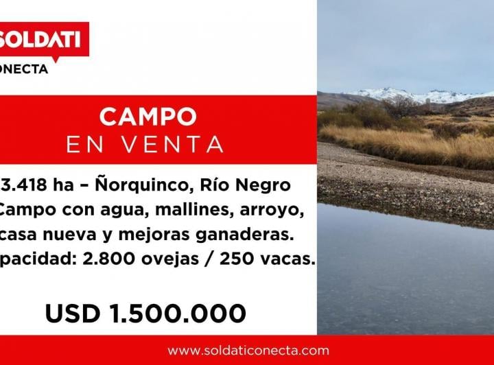 Campo · 34180000m²