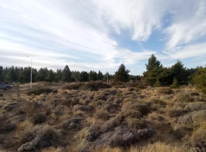 Terreno · 623m²