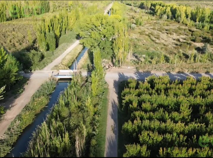 Campo · 67000ha