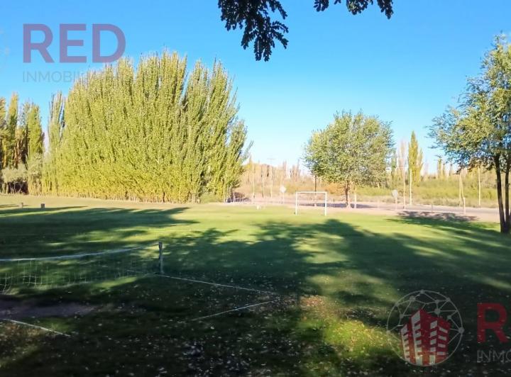 Campo · 100000ha