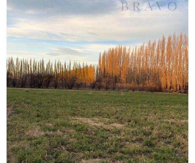 Campo · 30700m²
