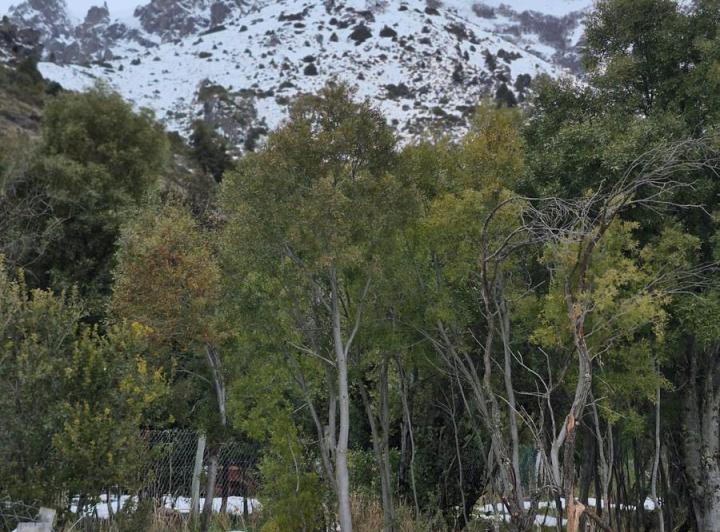 Terreno · 1012m²