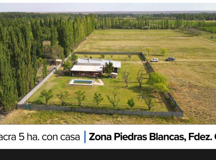 Campo · 114ha