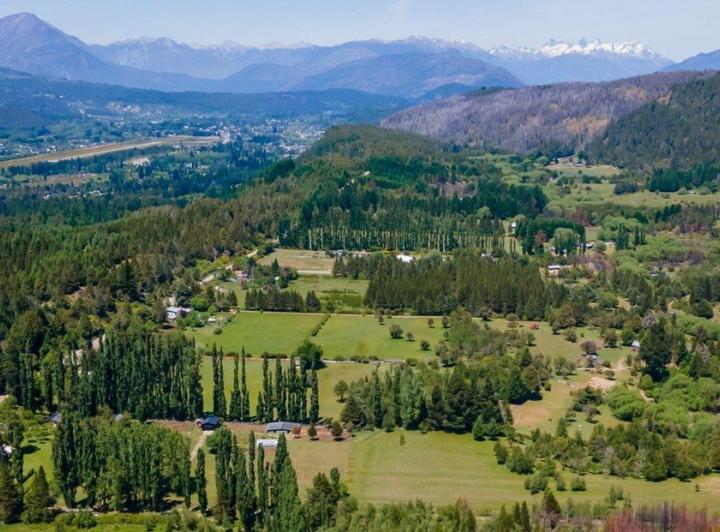 Campo · 550ha