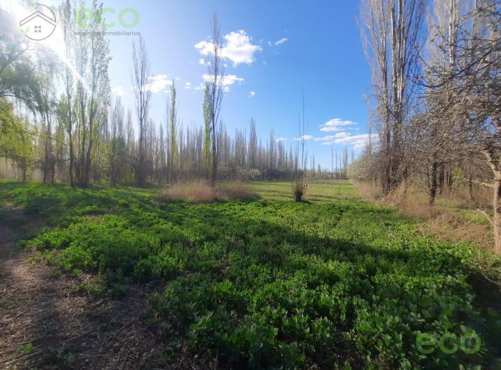 Terreno · 25000ha
