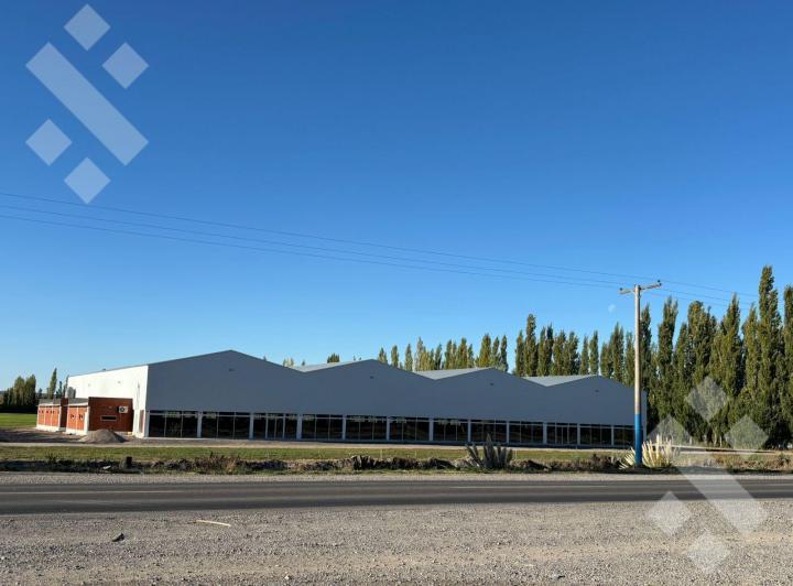Bodega-Galpón · 2400m² · 3 Ambientes