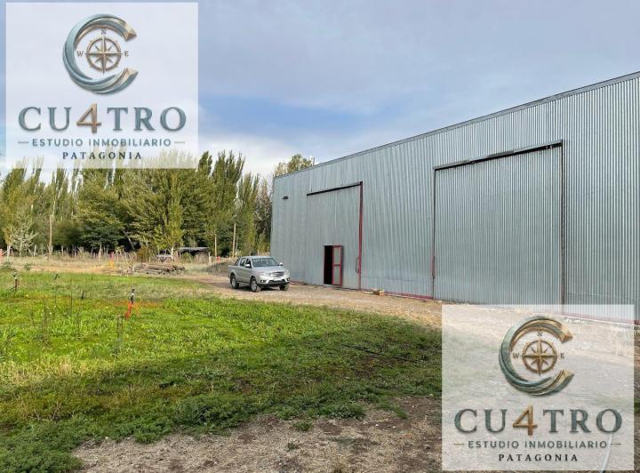 Bodega-Galpón · 250m²