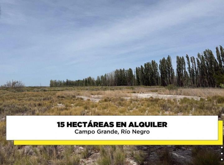 Terreno · 150000m²