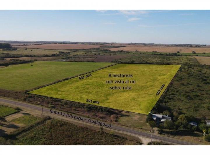 Campo · 8m²