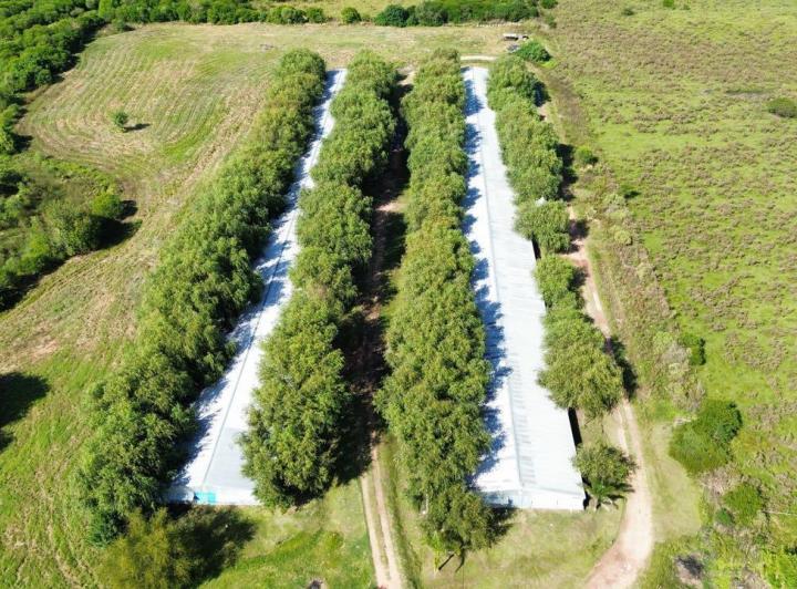 Campo · 50000m² · 2 Dormitorios · 1 Cochera